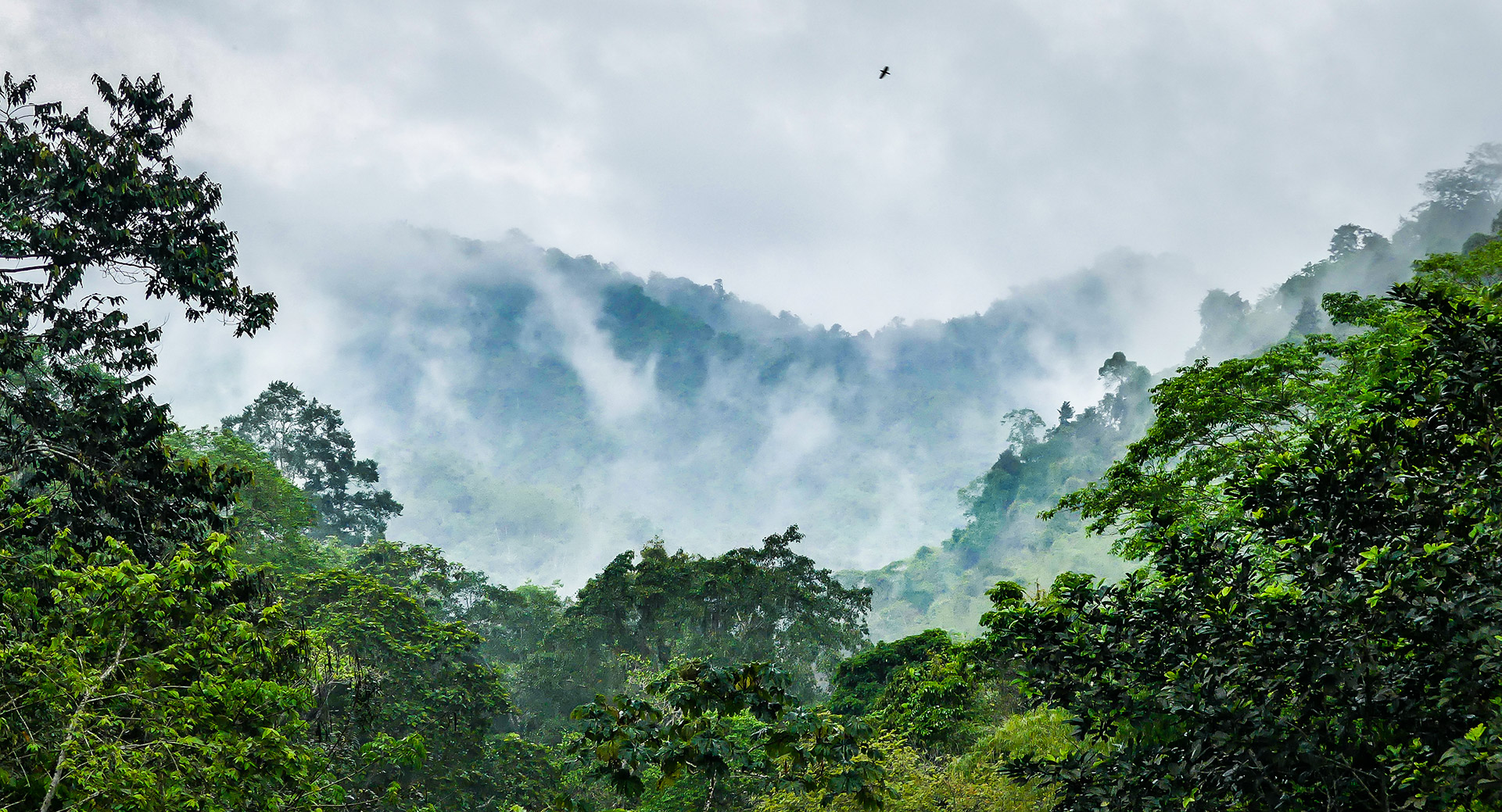 Congo River in the middle of equatorial forest at Lukutu d&#8230; | Flickr