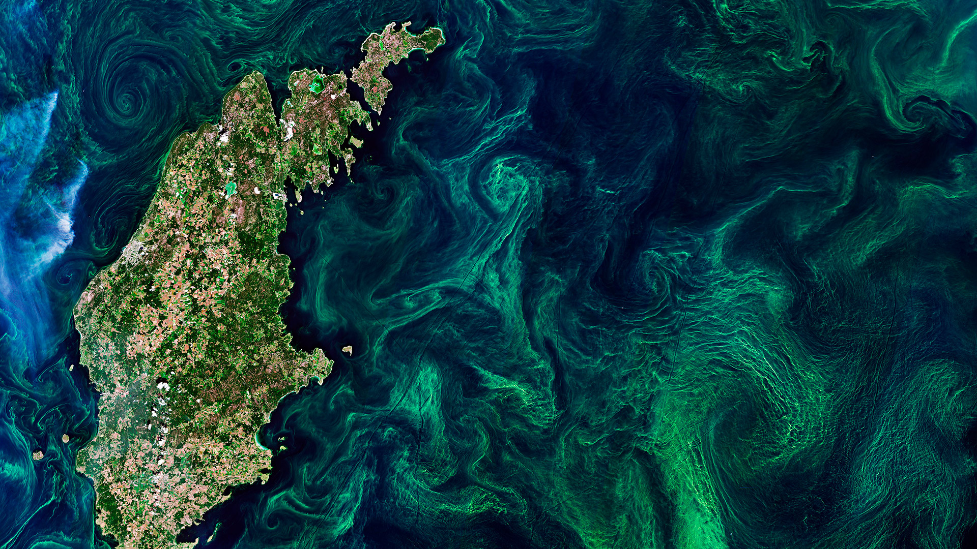 Algal bloom swirls, Baltic sea, Copernicus Sentinel-2 mission Plankton has a major influence on the amount of carbon in the atmosphere and are sensitive to environmental changes. Satellites are able to monitor them for future climate change models.