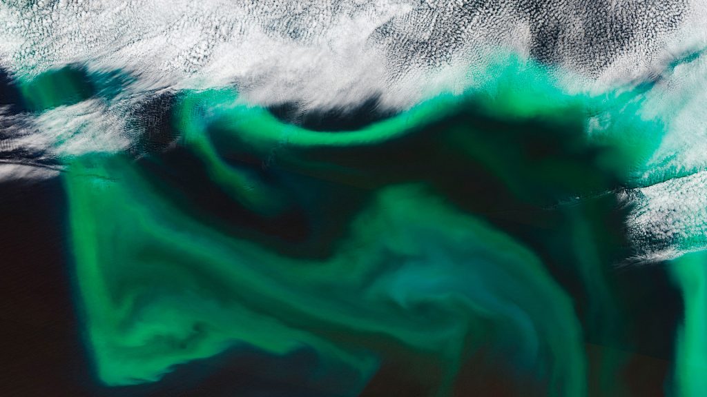 Floraison de phytoplancton, Hokkaido, Japon, mission Sentinel-2A, Copernicus Le phytoplancton joue un rôle important dans la chaîne alimentaire marine, et il a également un impact sur le cycle mondial du carbone en absorbant gaz carbonique. Les satellites sont en mesure de fournir une vue globale du phytoplancton, de son rôle et de sa réponse au changement climatique.