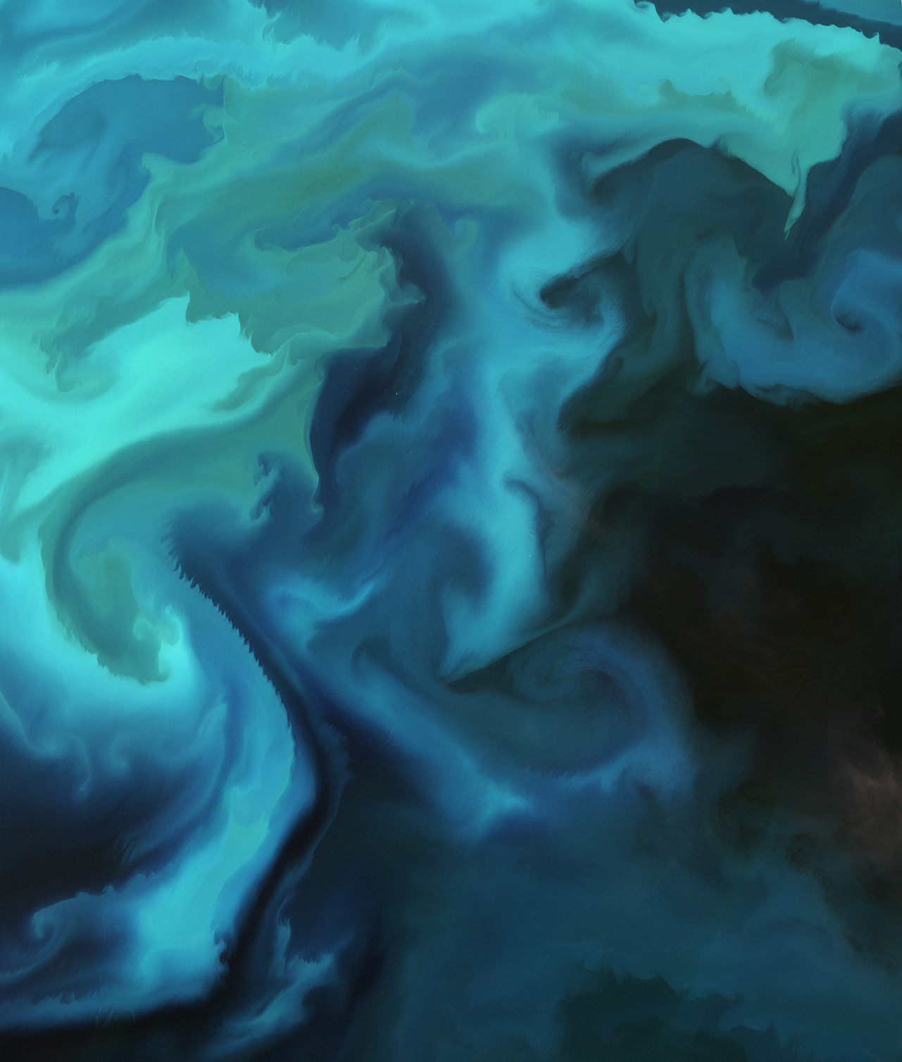 Some algae species are toxic or harmful. Early warnings of harmful blooms from satellites can help to prevent fish farmers from losing their stock.
