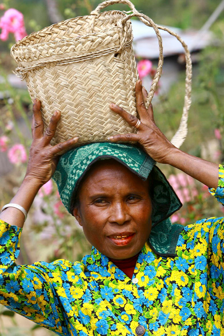 Le café est cultivé par environ 37 % des timorais. La plupart des producteurs de café sont pauvres.