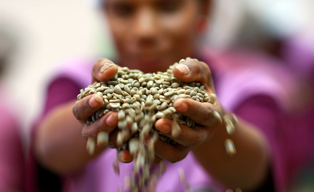 Une image optique à très haute résolution (taille de pixel de 1,2 m) peut être utilisée pour soutenir l'évaluation et l'amélioration des cartes des plantations de café à partir des images Sentinel, complétant également les inspections de terrain dans les zones où elles ne sont pas facilement réalisables. La carte des plantations de café (rouge) est superposée à une image WorldView-2.
