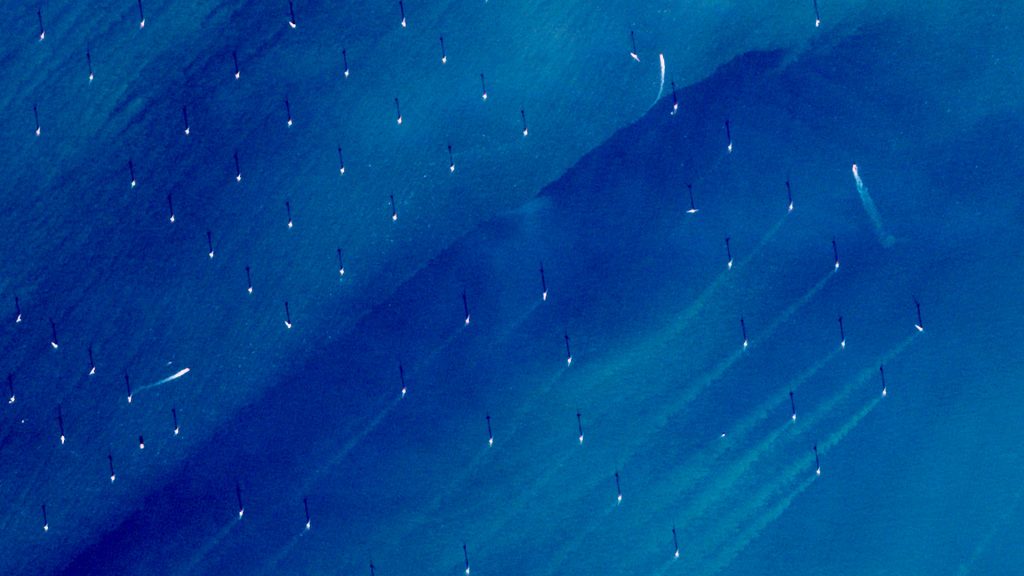 Les données des satellites Copernicus sont utilisées pour les études d'impact et les plans de déploiement des champs d'éoliennes offshore. Cette image, acquise par l'un des satellites Copernicus Sentinel-2 le 6 novembre 2020, montre les éoliennes offshore du parc éolien Norther en mer du Nord au large des côtes belges. Les missions Copernicus Sentinel permettent de surveiller la qualité de l'eau et le flux des sédiments dans les zones côtières.