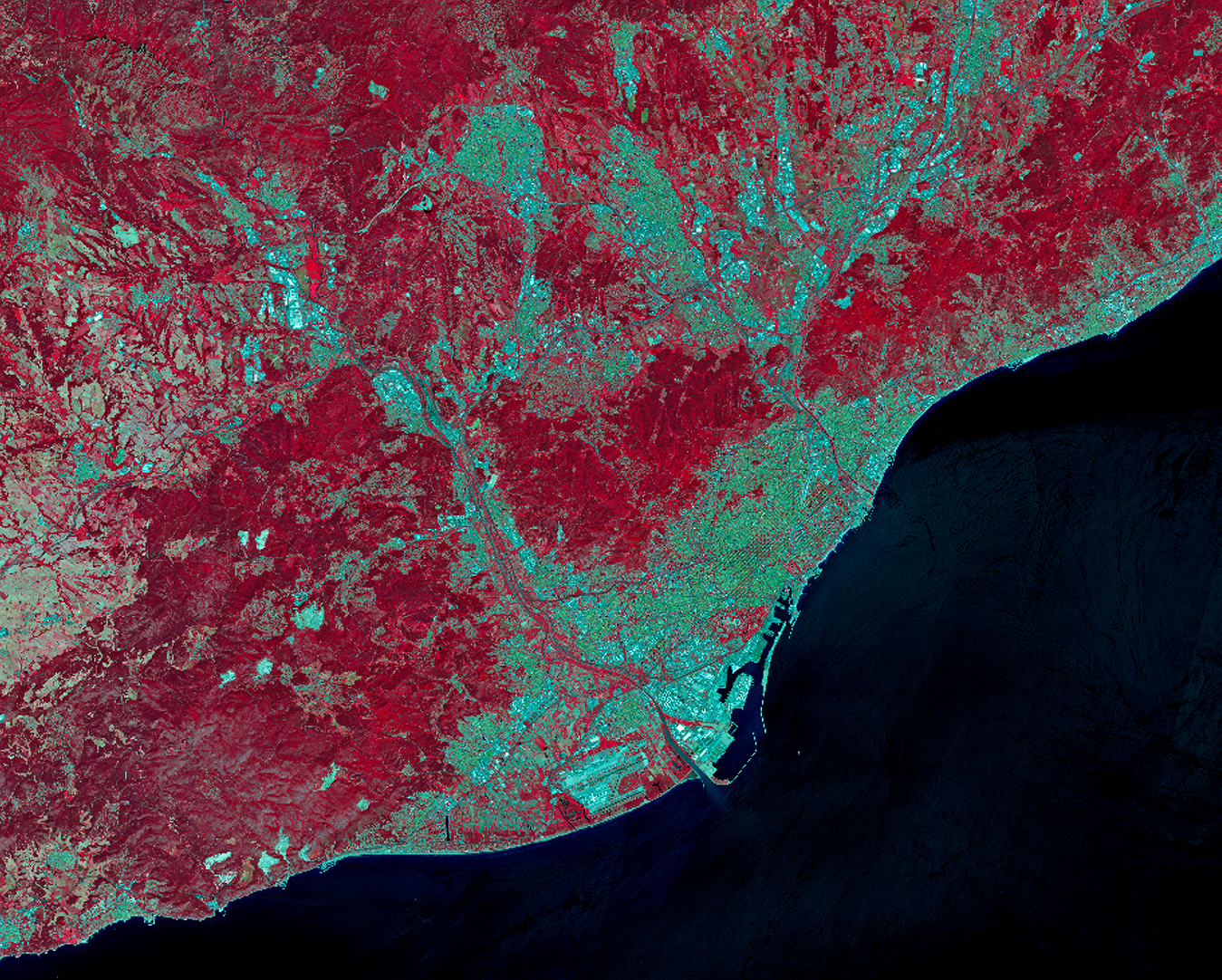 Image spectrale de Sentinel 2 de la zone métropolitaine de Barcelone. Les zones rouges correspondent à des zones de végétation. Les zones bleues indiquent l’empreinte carbone de l’écosystème urbain.