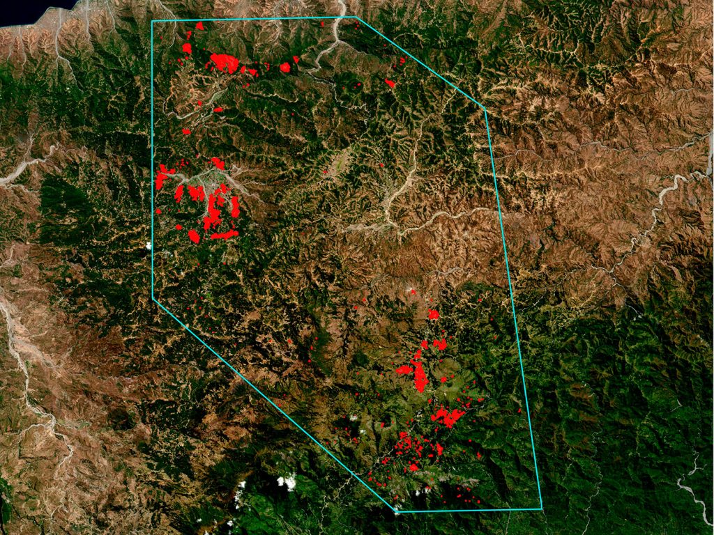 Au Timor-Leste, la culture du café constitue le deuxième revenu économique du pays après le pétrole. Les autorités nationales ont procédé à un recensement des plantations pour mettre en oeuvre un plan national de réhabilitation du café. Les zones rouges indiquent les plantations de café cultivées sous deux espèces d'arbres (Albizia et Casuarina) à la fin de l'année 2019. Le polygone bleu clair indique la zone d'étude répartie dans les provinces d'Ermera, Aileu et Ainaro où la plupart des les cultures de café sont concentrées. La représentation des plantations de café a été été obtenue en appliquant des algorithmes d'intelligence artificelle à partir d'images prises par les satellites du Union europeenne Copernicus Sentinel-1 et Sentinel-2 pendant un an.