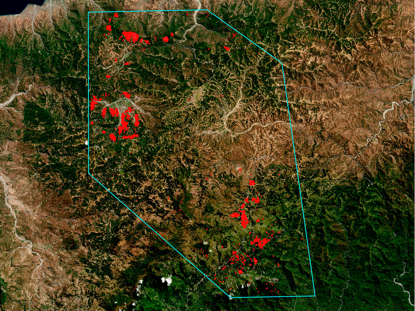In Timor-Leste coffee cultivation is the second economic income after oil in the country. National authorities need to conduct a census of plantations and monitor their status to apply a national coffee rehabilitation plan. Red areas indicate coffee plantations cultivated under two species of tree (Albizia and Casuarina) at the end of year 2019. The light blue polygon indicates the area of study included into the provinces of Ermera, Aileu and Ainaro where most of the coffee cultivations are concentrated. The coffee plantations were obtained by applying Machine Learning and Deep Learning algorithms to one year of images from the European Union's satellites Copernicus Sentinel-1 and Sentinel-2.