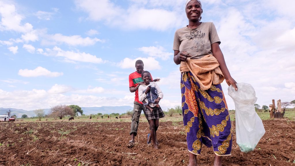 Monica Tonde, 29 ans, vit dans le village de Chimushonga au Zimbawe avec son mari, Effort, 39 ans, et ses quatre enfants, âgés de deux, cinq, dix et onze ans. « Nous possédons environ sept hectares et demi de terre», explique Effort. « Jusqu'à cette année, nous n'avons pu planter qu'environ quatre hectares et demi à cause des mines antipersonnel. C'est la première fois de ma vie que nous avons pu labourer toute la parcelle familiale.