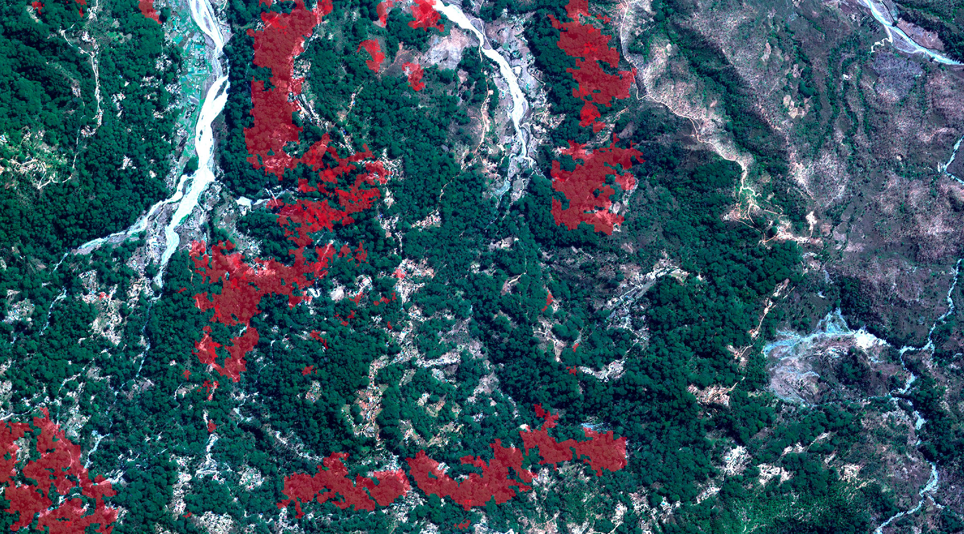 Une image optique à très haute résolution (taille de pixel de 1,2 m) peut être utilisée pour soutenir l'évaluation et l'amélioration des cartes des plantations de café à partir des images Sentinel, complétant également les inspections de terrain dans les zones où elles ne sont pas facilement réalisables. La carte des plantations de café (rouge) est superposée à une image WorldView-2 .