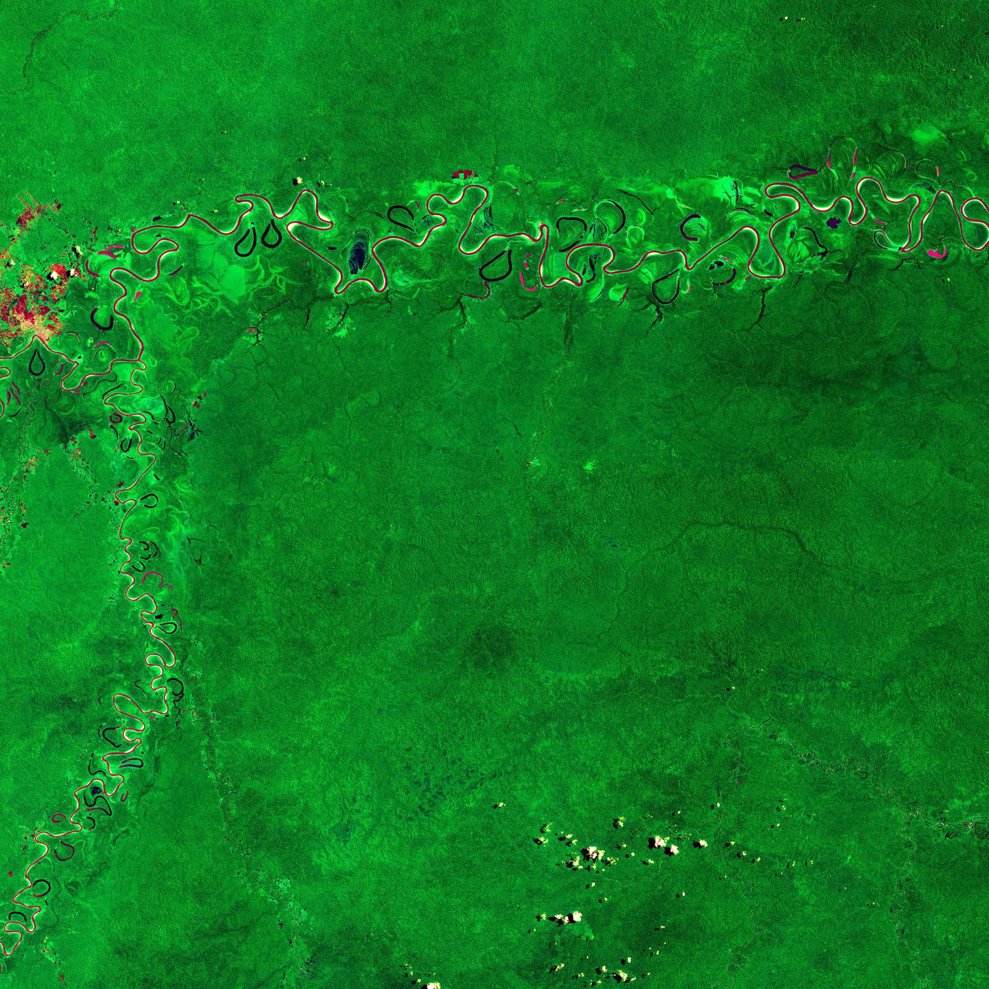 Forêt Amazonienne, Brésil, mission Sentinel-2, Copernicus Les satellites d'observation de la Terre nous permettent de suivre les évolutions de la biomasse et de comprendre le cycle mondial du carbone et ses impacts sur le changement climatique.