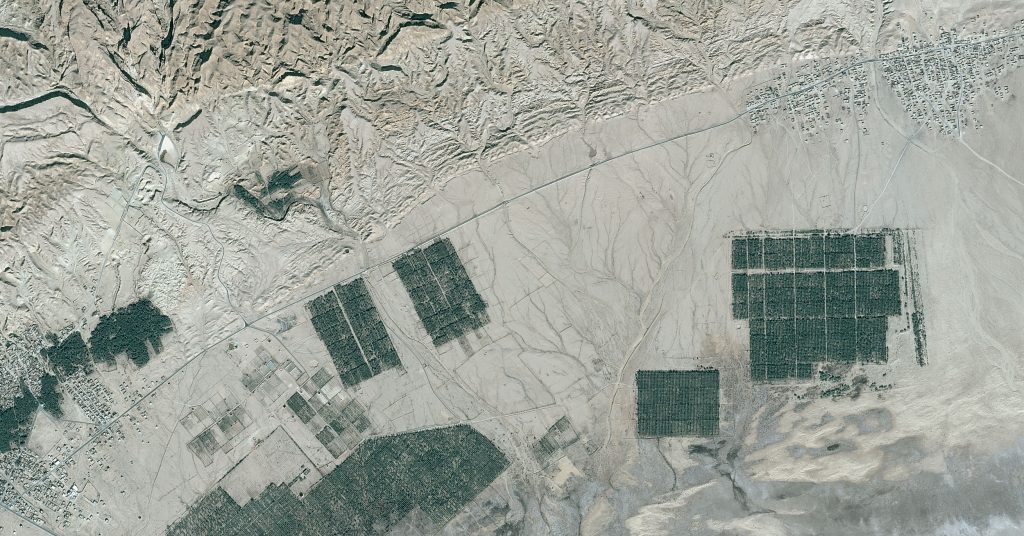 Date crops in Bouhel-sdada, Tunisia. Image taken by the French CNES Pléiades satellite on December 24, 2017. With climate change, crops suffer longer and more frequent episodes of hydric stress, often accompanied by diseases. Earth observation helps to detect problems on a large scale and warn farmers using mobile applications.