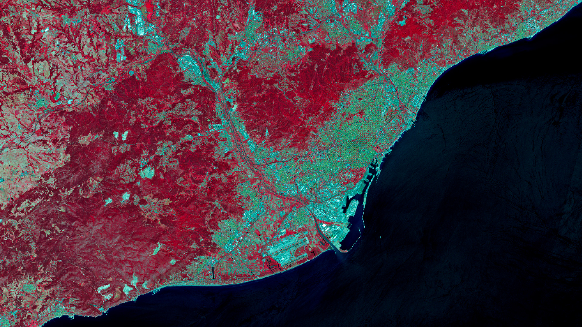 Spectral image from Copernicus Sentinel 2 of the metropolitan area of Barcelona. The red areas correspond to areas of vegetation. The blue zones indicate the urban ecosystem’s carbon footprint