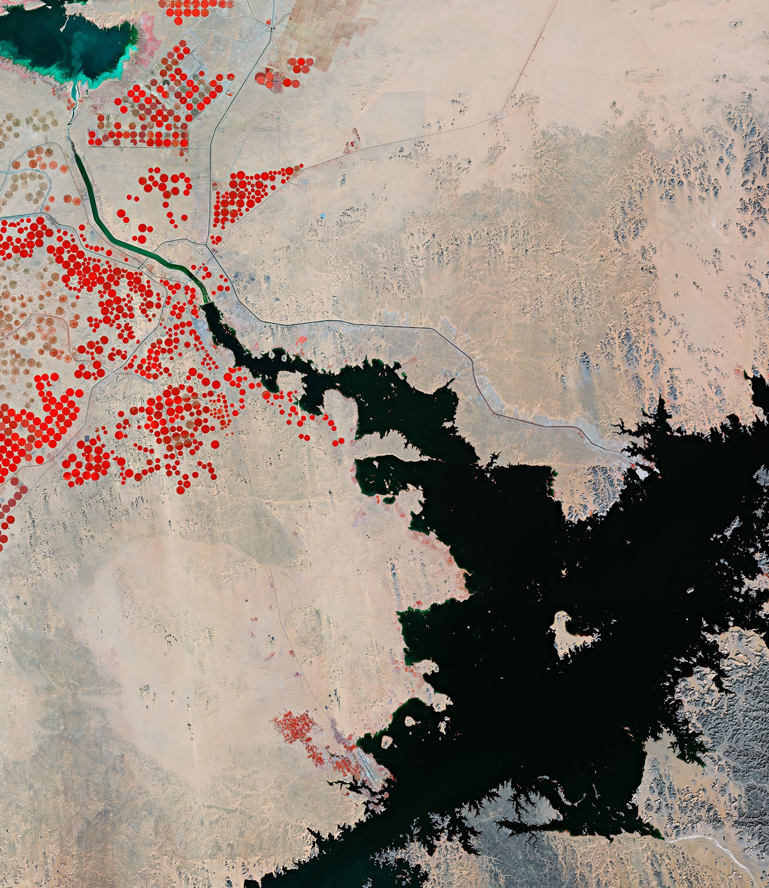 This image of Lake Nasser is a false-colour composite and was created by utilising the near-infrared channel from Copernicus Sentinel-2 to emphasise the scarce vegetation in the area. This helps identify the presence of pivot irrigation fields, visible as circular shapes in the image, with the largest having a diameter of around 750 m. Pivot irrigation systems work where watering equipment rotates around a fixed water supply point and crops are watered with sprinklers. This type of irrigation helps farmers manage their watering demands and helps conserve their water sources.