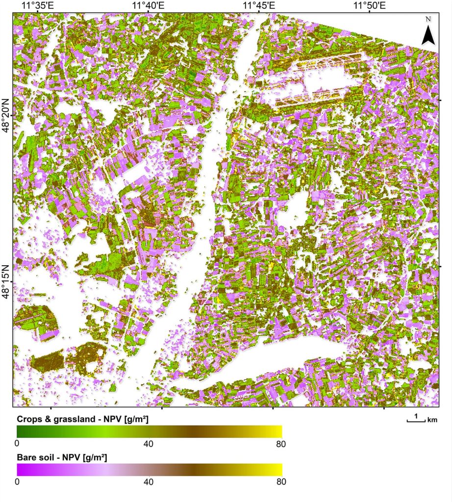 Map of nonphotosynthetic biomass