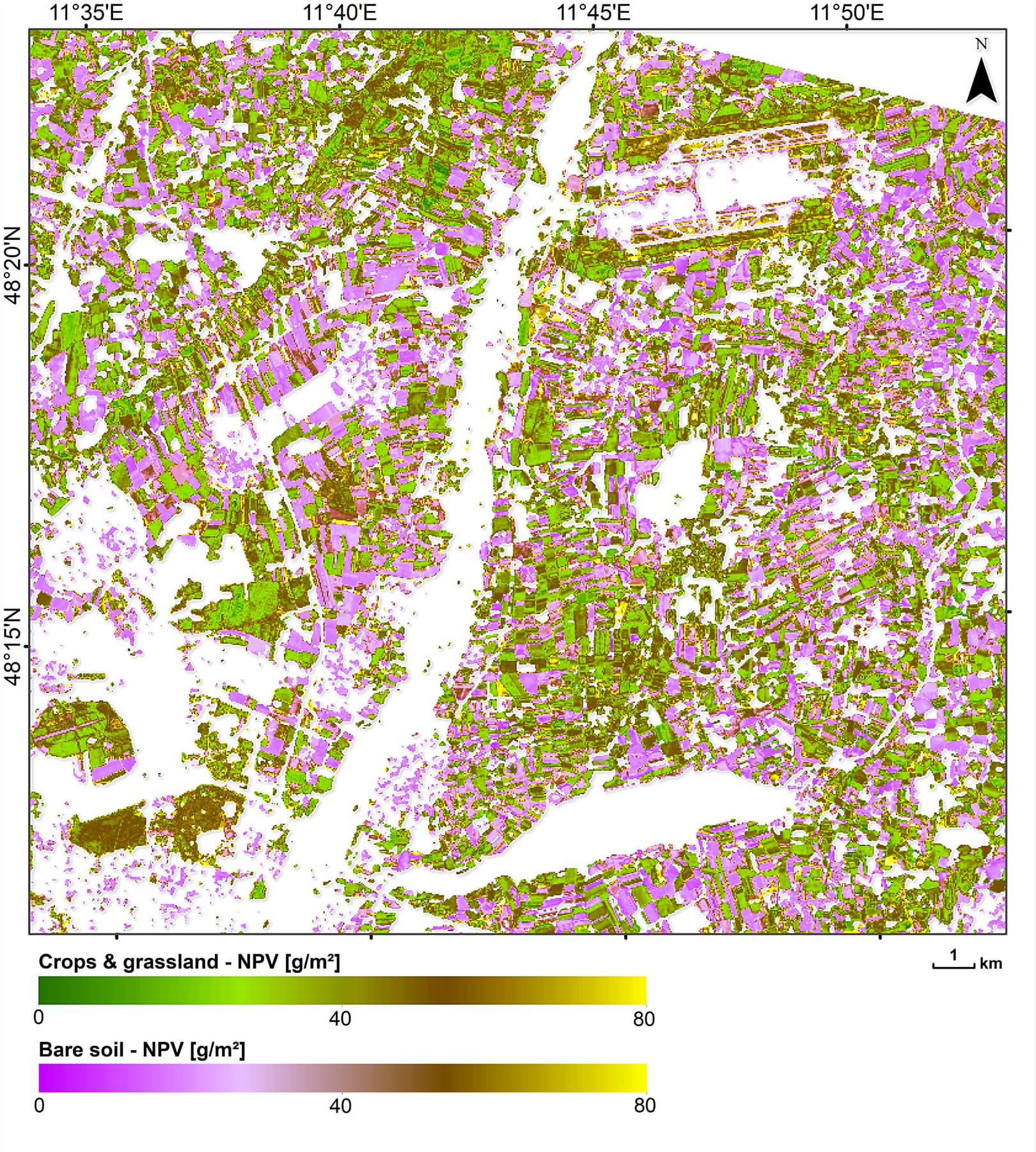 Map of nonphotosynthetic biomass